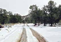 IMG_2656.jpg