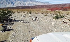 IMG_2717.jpg