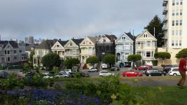 painted ladies 1.jpg