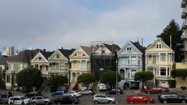 painted ladies 2.jpg