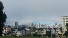 painted ladies 3.jpg
