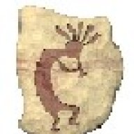 DenverRunner