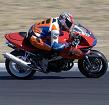 Duc Hunter