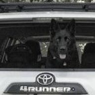 CatskillsRunner