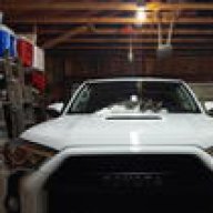 4runner guy