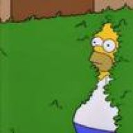 pnwDrizzle