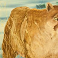 BigKitty