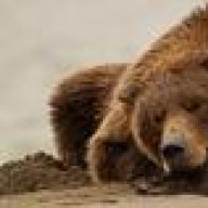 Sleeping-bear