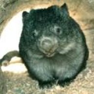 Wombatsaw