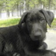 Bigrupp