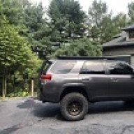 rmbertoldi