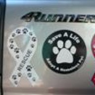 4runsport