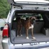 BoxerSport06