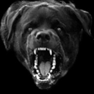 Watchdog