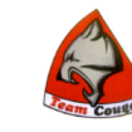 cougar428