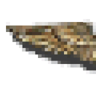 9Hooker