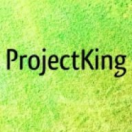 ProjectKing