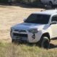 Furby4runner