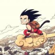 Ronin_Runner