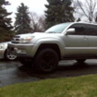 Silverback35