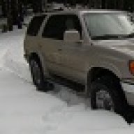 Mooresrunner