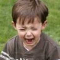 Red Dog Leader