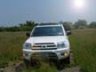 91bulldog