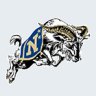 USNA91
