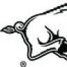 WooPigSooie