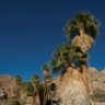 DesertCanyons