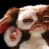 The Giz