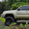 Hawaiian Hillbilly
