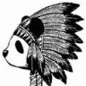 NDNChief