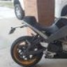 Scallywag303