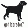 YelloLab