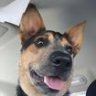 jaxtheacd