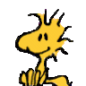 bcdave