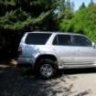 roark4runner