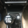5 Speed Dave