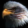 FowerRunner