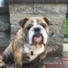 Louie_D42