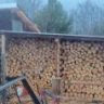 Piney