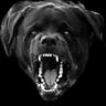 Watchdog