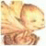 zergerenok