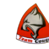 cougar428
