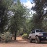 Only2wheelin