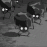 ramminyota