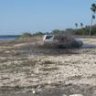 4runner954