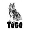 Togo.4Runner