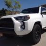 FJ Cary